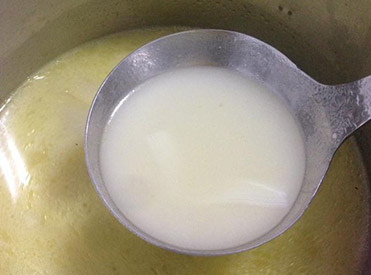 奶白鯽魚湯（只加蔥、姜、白胡椒粉）